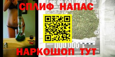 стафф Будённовск