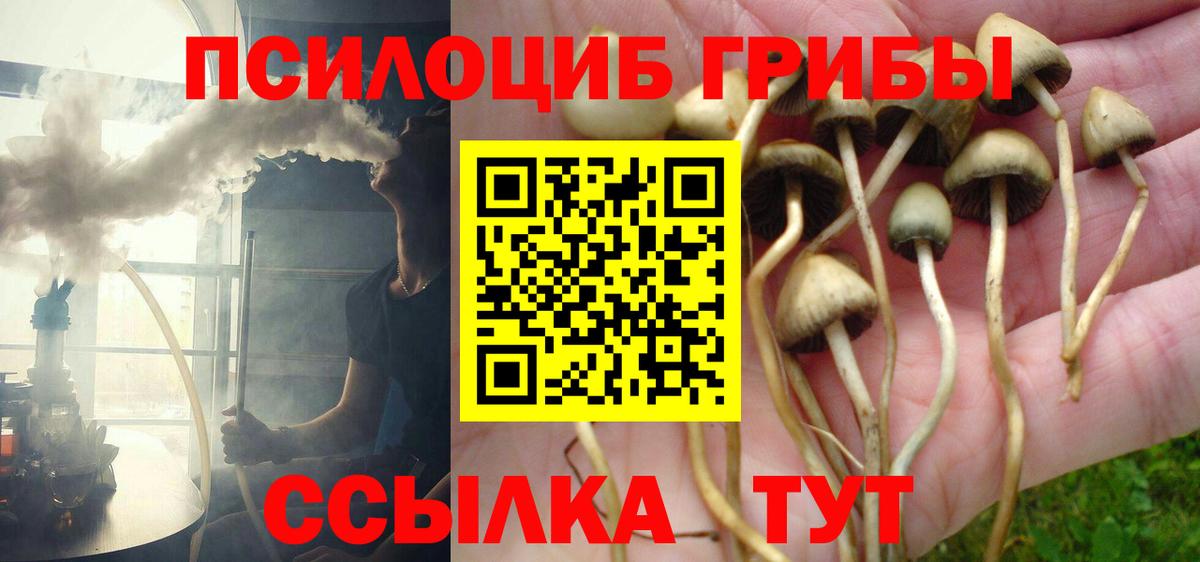 Псилоцибиновые грибы MAGIC MUSHROOMS Магнитогорск